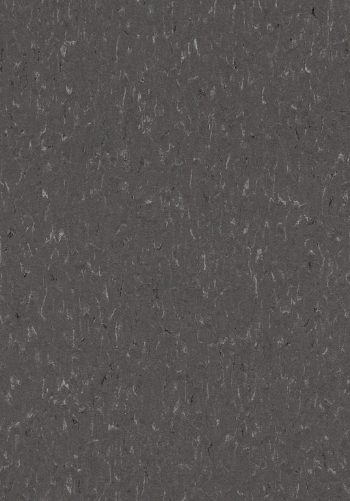 Marmoleum Sheet Piano - Grey Dusk B&R: Flooring & Carpeting Forbo USA 