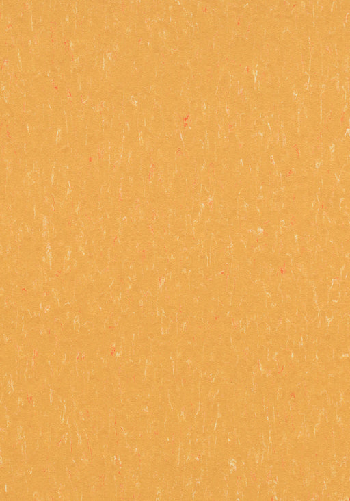 Marmoleum Sheet Piano - Mellow Yellow B&R: Flooring & Carpeting Forbo USA 