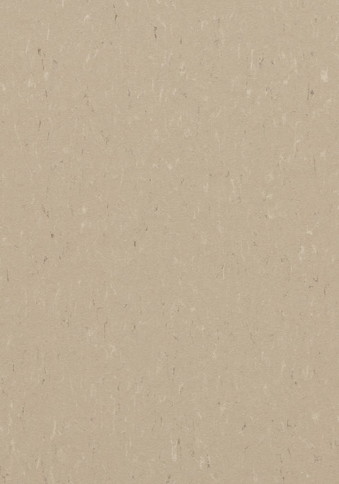 Marmoleum Sheet Piano - Angora B&R: Flooring & Carpeting Forbo USA