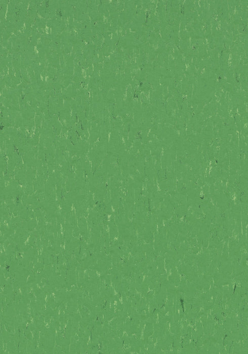 Marmoleum Sheet Piano - Nettle Green B&R: Flooring & Carpeting Forbo USA