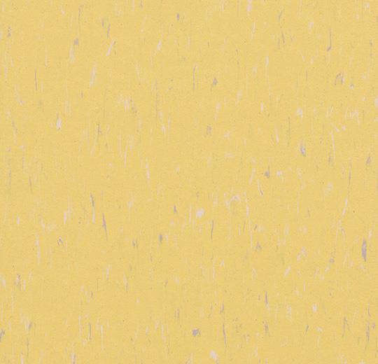Marmoleum Composition Tile (MCT) - Sunflower 3653 B&R: Flooring & Carpeting Marmoleum