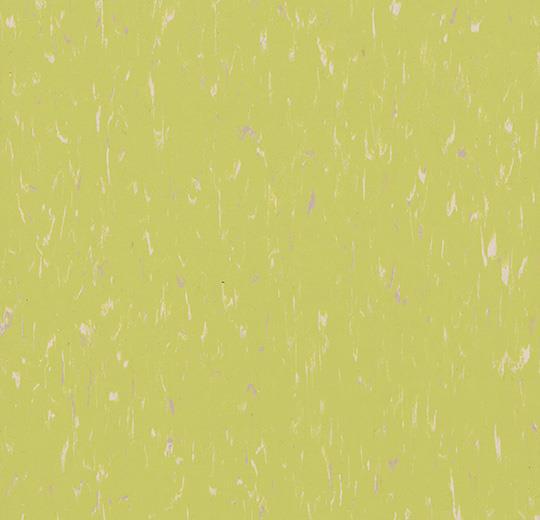 Marmoleum Composition Tile (MCT) - Orchid Green 3655 B&R: Flooring & Carpeting Marmoleum