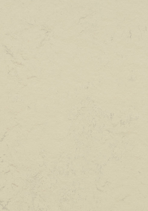 Marmoleum Sheet Concrete - Moon B&R: Flooring & Carpeting Forbo USA 