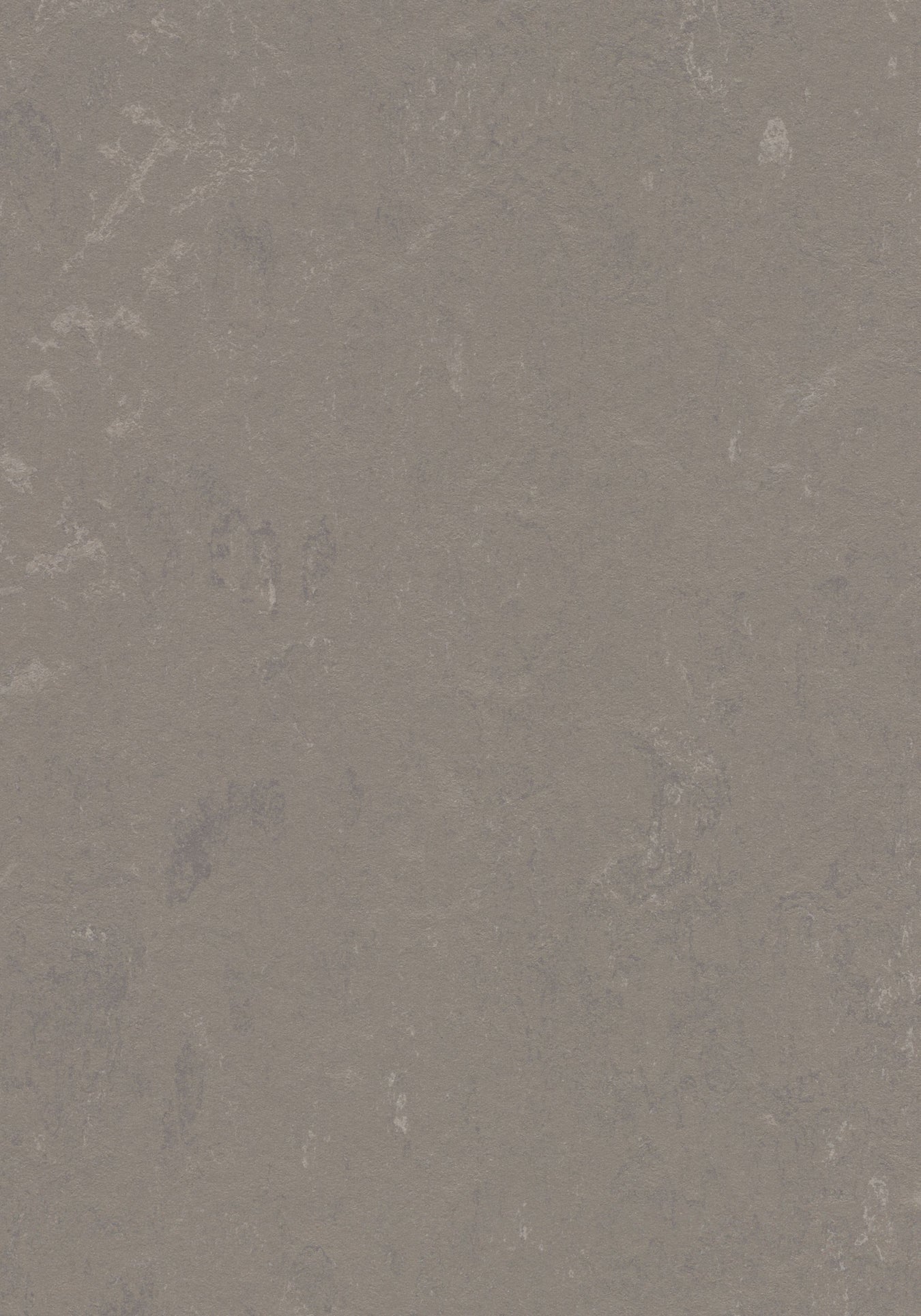 Marmoleum Sheet Concrete - Liquid Clay B&R: Flooring & Carpeting Forbo USA