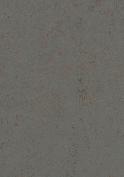 Marmoleum Sheet Concrete - Comet B&R: Flooring & Carpeting Forbo USA