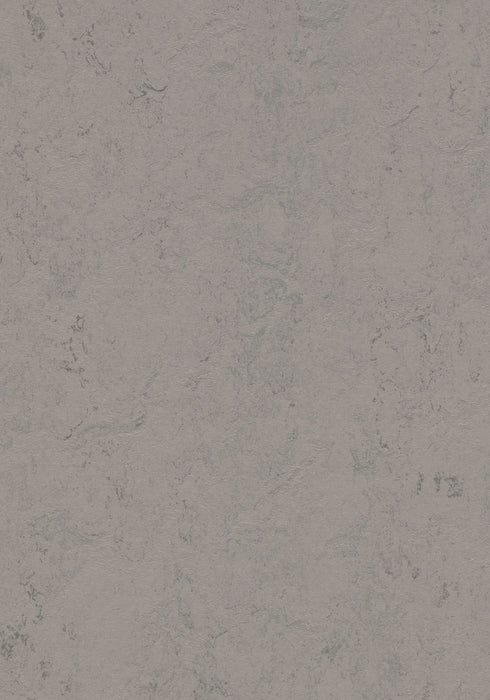 Marmoleum Sheet Concrete - Satellite B&R: Flooring & Carpeting Forbo USA 