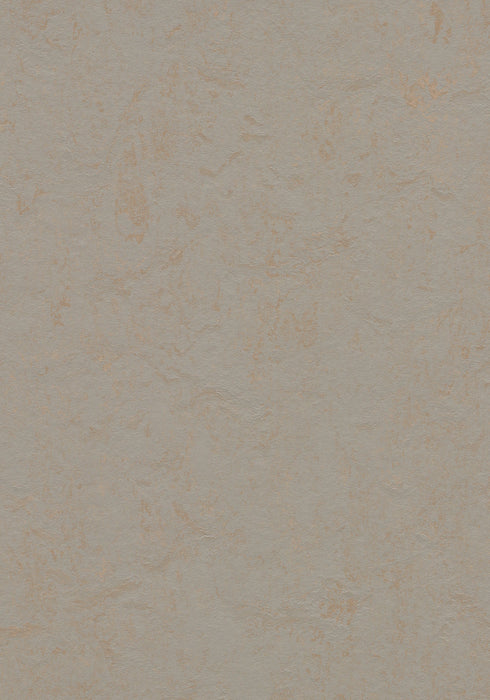 Marmoleum Sheet Concrete - Beton B&R: Flooring & Carpeting Forbo USA