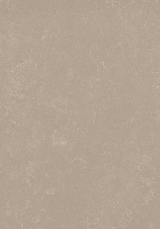 Marmoleum Sheet Concrete - Fossil B&R: Flooring & Carpeting Forbo USA 