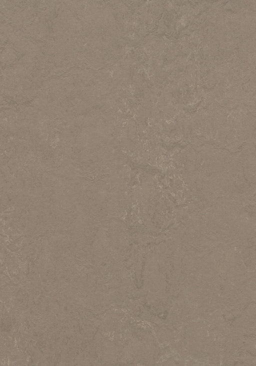 Marmoleum Sheet Concrete - Silt B&R: Flooring & Carpeting Forbo USA 