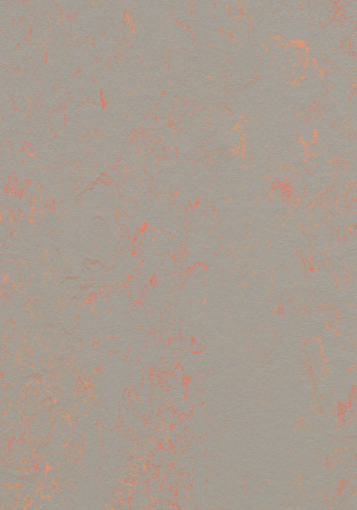 Marmoleum Sheet Concrete - Orange Shimmer B&R: Flooring & Carpeting Forbo USA 