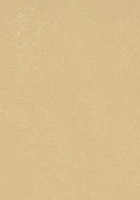 Marmoleum Sheet Concrete - Venus B&R: Flooring & Carpeting Forbo USA 