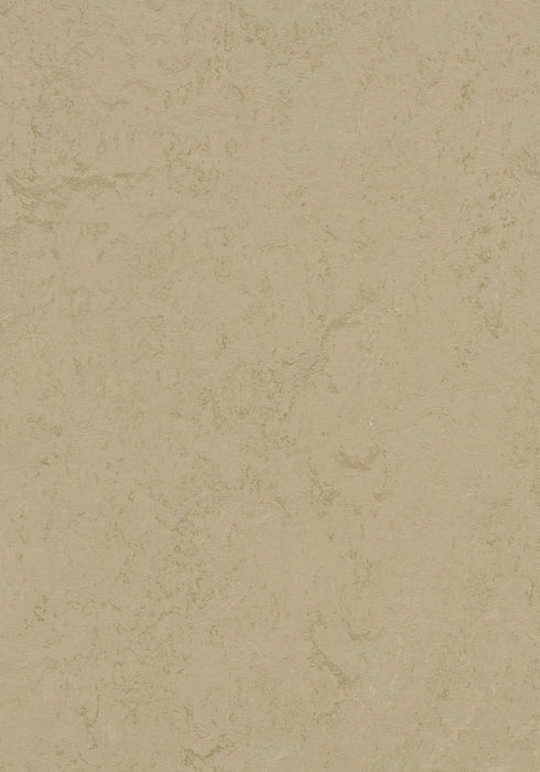 Marmoleum Sheet Concrete - Kaolin B&R: Flooring & Carpeting Forbo USA 