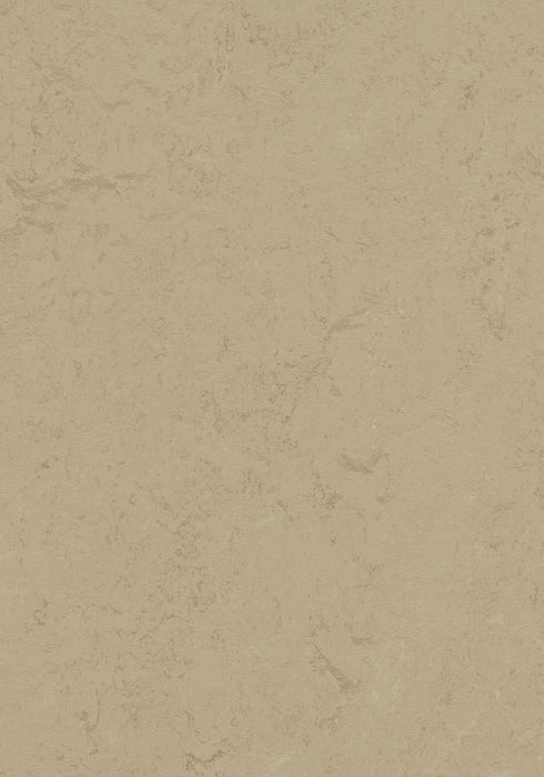 Marmoleum Sheet Concrete - Kaolin B&R: Flooring & Carpeting Forbo USA