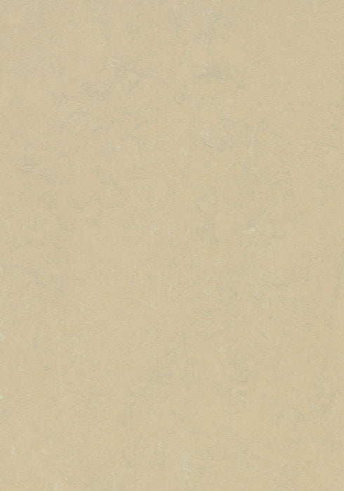 Marmoleum Sheet Concrete - Mica B&R: Flooring & Carpeting Forbo USA