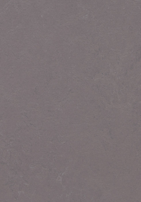 Marmoleum Sheet Concrete - Stella B&R: Flooring & Carpeting Forbo USA 