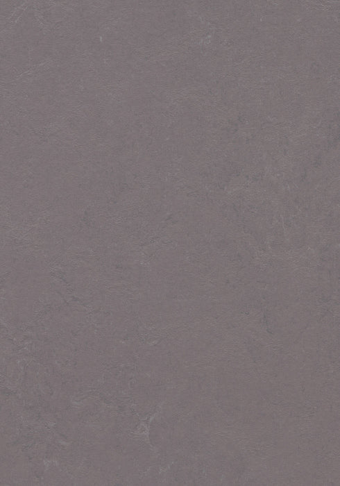 Marmoleum Sheet Concrete - Stella B&R: Flooring & Carpeting Forbo USA