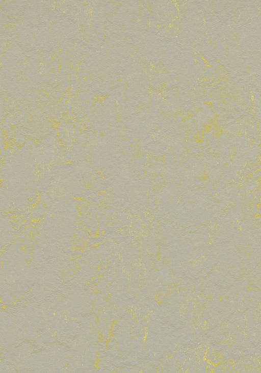 Marmoleum Sheet Concrete - Yellow Shimmer B&R: Flooring & Carpeting Forbo USA 