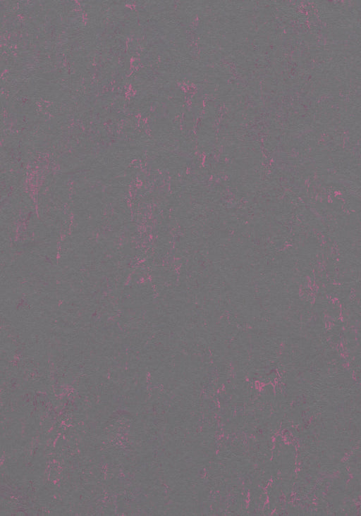 Marmoleum Sheet Concrete - Purple Shimmer B&R: Flooring & Carpeting Forbo USA 