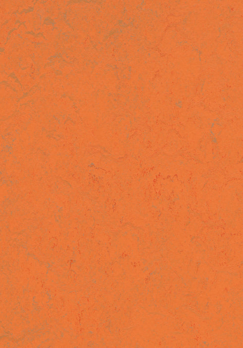Marmoleum Sheet Concrete - Orange Glow B&R: Flooring & Carpeting Forbo USA 
