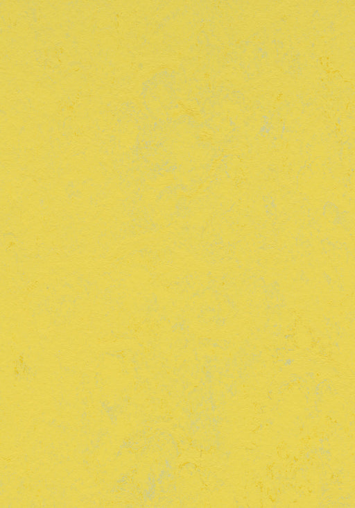 Marmoleum Sheet Concrete - Yellow Glow B&R: Flooring & Carpeting Forbo USA 