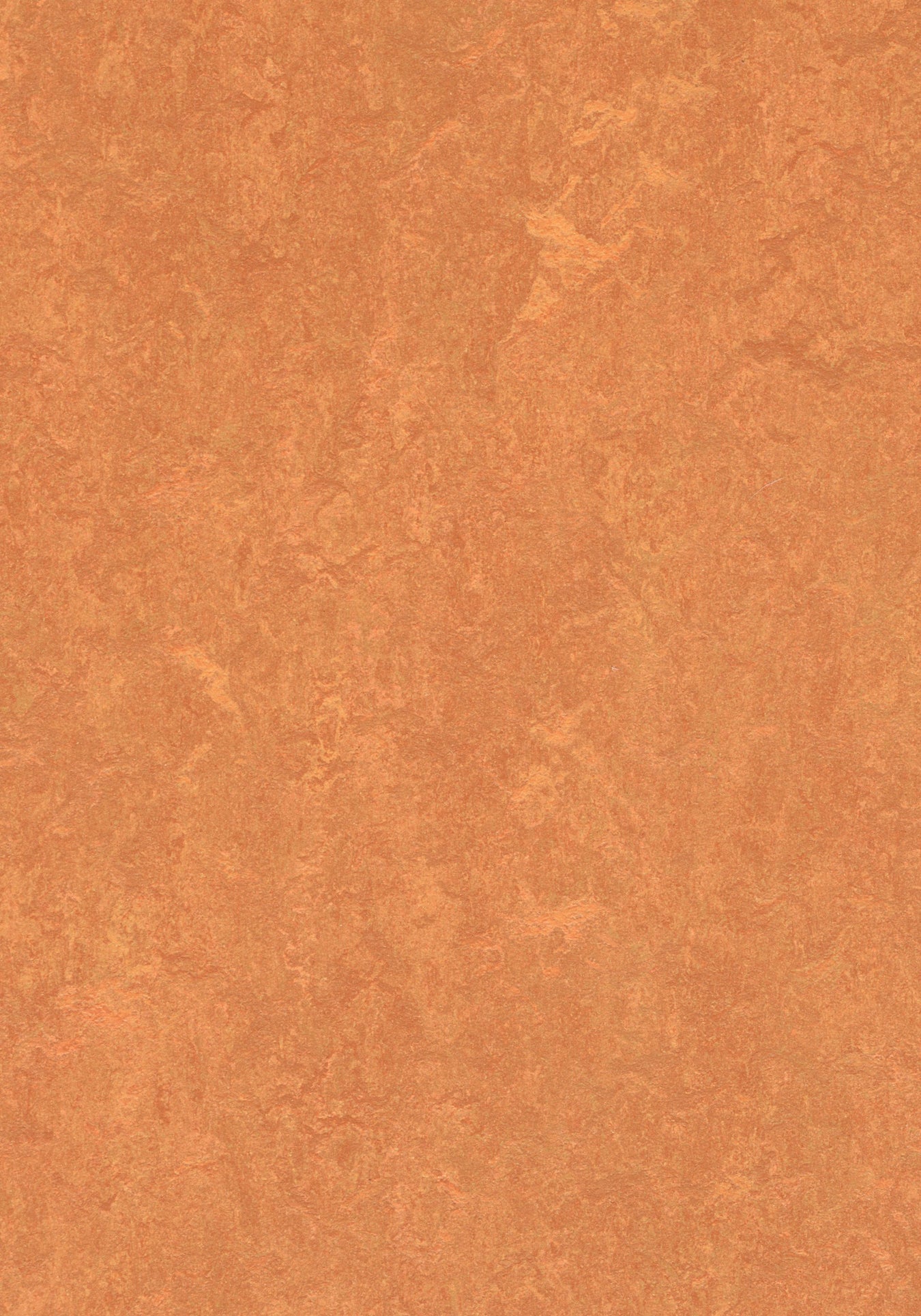 Marmoleum Sheet Fresco - African Desert B&R: Flooring & Carpeting Forbo USA