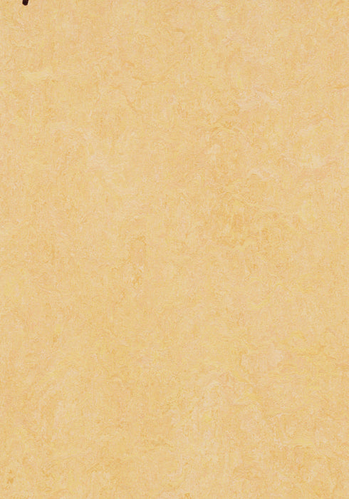 Marmoleum Sheet Fresco - Natural Corn B&R: Flooring & Carpeting Forbo USA