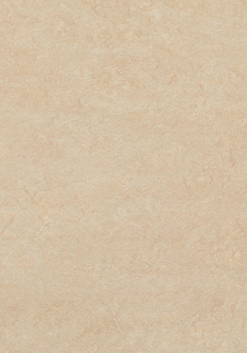 Marmoleum Sheet Fresco - Arabian Pearl B&R: Flooring & Carpeting Forbo USA