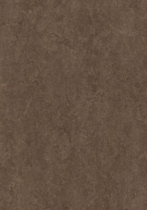Marmoleum Sheet Fresco - Walnut B&R: Flooring & Carpeting Forbo USA 