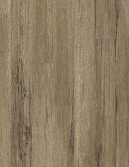 COREtec Plus 5" Plank - Baywood Oak - VV023-00503 B&R: Flooring & Carpeting USFloors