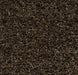 Coral Brush Sheet Entryway Flooring Forbo Biscotti Brown 