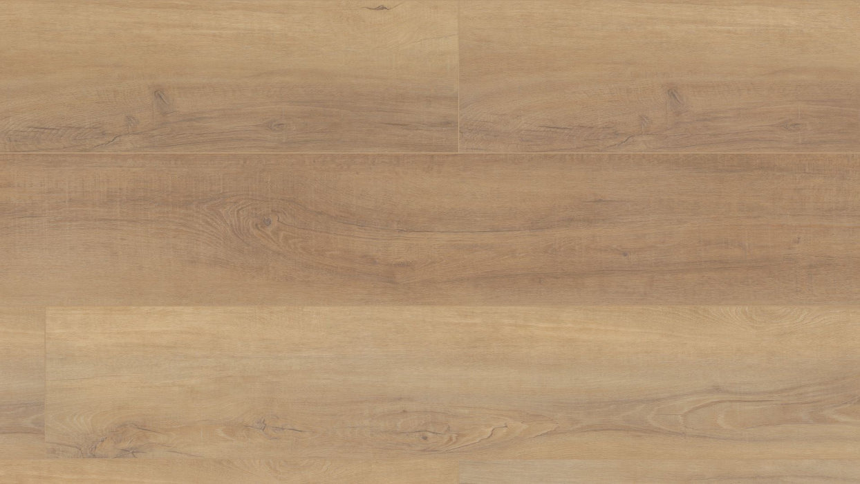 COREtec Pro Plus HD 9" - Canterbury Elm - VV488 - 02093 B&R: Flooring & Carpeting USFloors