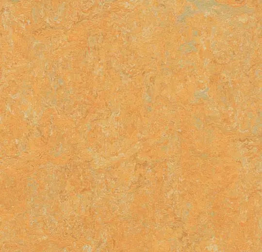Marmoleum Real - Golden Saffron - 3847 B&R: Flooring & Carpeting Forbo