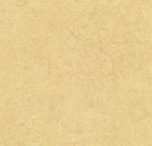Marmoleum Composition Tile (MCT) - Butter 795 B&R: Flooring & Carpeting Marmoleum 