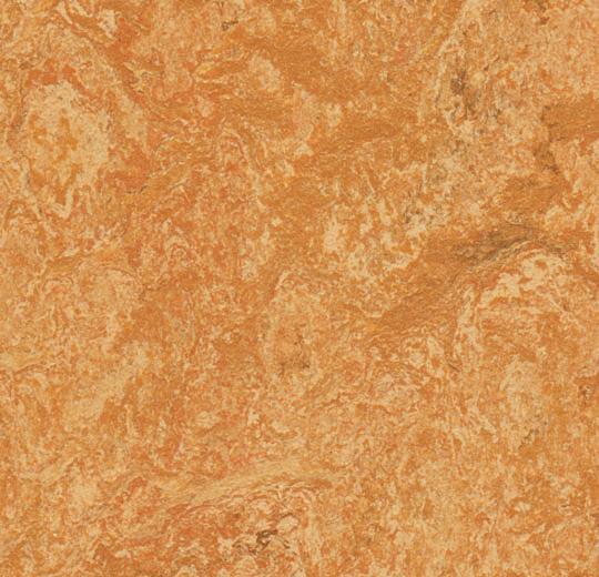 Marmoleum MCS - Sahara - 3174 B&R: Flooring & Carpeting Forbo USA
