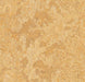 Marmoleum MCS - Van Gogh - 3173 B&R: Flooring & Carpeting Forbo USA 