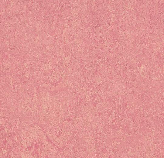 Marmoleum Real - Honeysuckle - 3268 B&R: Flooring & Carpeting Forbo