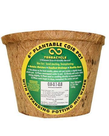 Plantable Coir Pot (6") - Set of 6 H&G: Gardening TerraCycle 