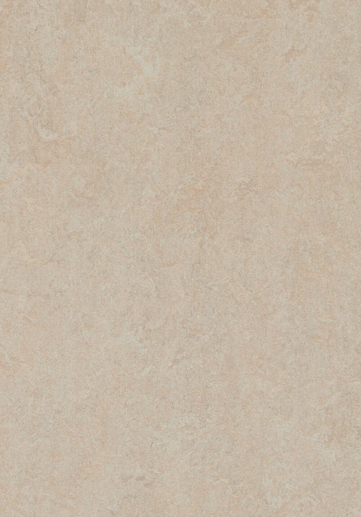 Marmoleum Click Cinch LOC - Silver Birch 93/333871 B&R: Flooring & Carpeting Forbo 