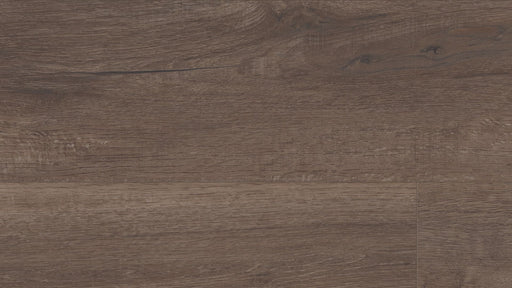 COREtec Grande - Grande Willis Oak - VV662-03003 B&R: Flooring & Carpeting USFloors