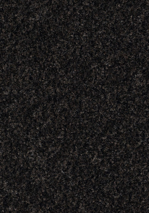 Coral Brush Entrance Mat Forbo 3' x 5' Charcoal Grey