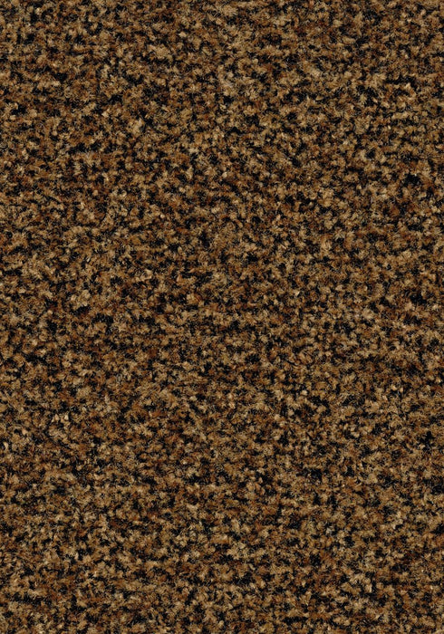 Coral Brush Entrance Mat Forbo 3' x 5' Masala Brown