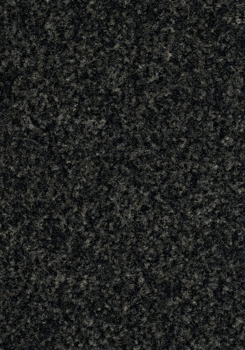 Coral Brush Entrance Mat Forbo 3' x 5' Hurricane grey