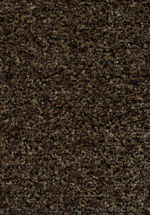 Coral Brush Entrance Mat Forbo 3' x 5' Biscotti Brown