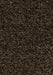 Coral Brush Entrance Mat Forbo 3' x 5' Biscotti Brown 