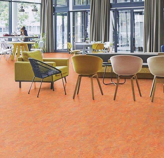 Marmoleum Sheet Vivace - Asian Tiger B&R: Flooring & Carpeting Forbo USA