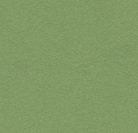 Forbo Bulletin Board Cork Material- 48" Width B&R: Paint, Stains, Sealers, & Wall Coverings Forbo 2213 Baby Lettuce