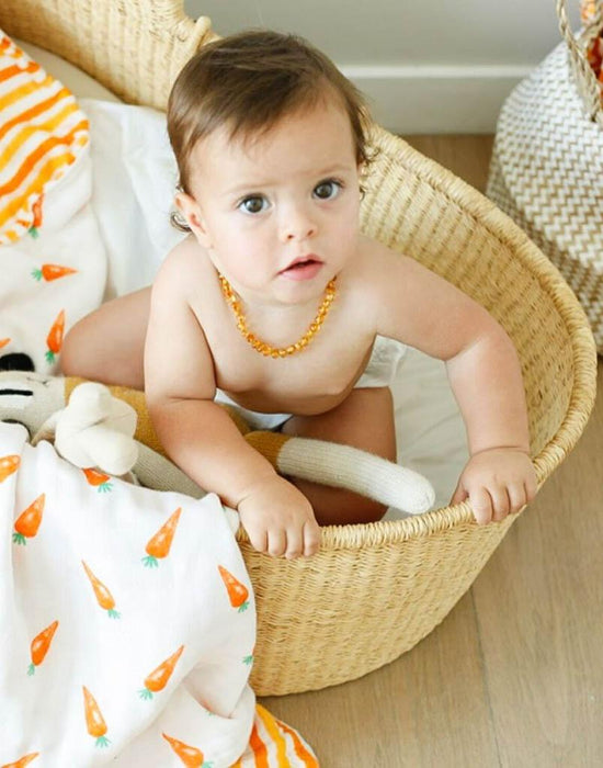 ORGANIC SNUG BLANKET - CARROTS Gifts Malabar Baby