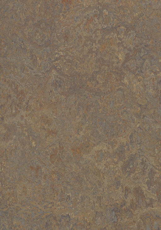 Marmoleum Click Cinch LOC - Cork Tree 93/333426 B&R: Flooring & Carpeting Forbo 