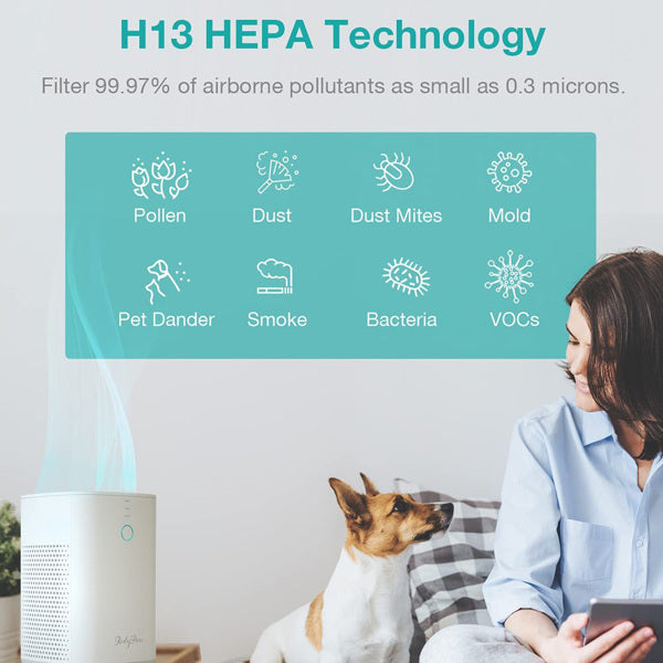 RedyPure H13 HEPA Filter Air Purifier Air Purifier Cleaner for Home Home & Garden Teal Simba
