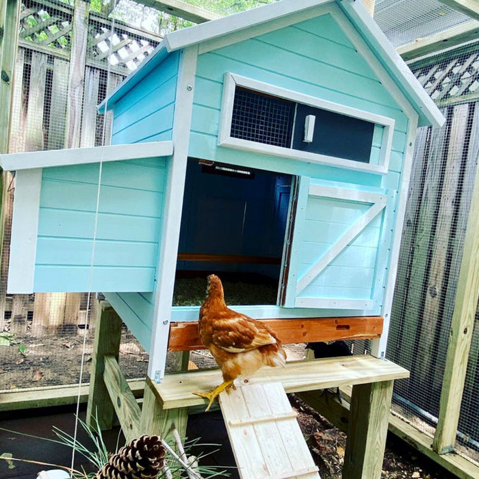 ECOS Paints - Pet Dwellings Paint B&R: Paint, Stains, Sealers, & Wall Coverings Ecos Paints